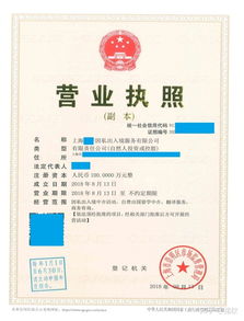 上海注冊非中介留學服務公司 類別、經營范圍與票務代理指南